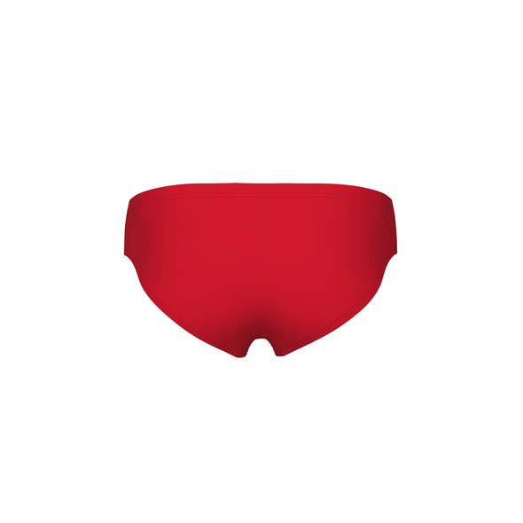 Arena Mens Team Solid Swimming Briefs